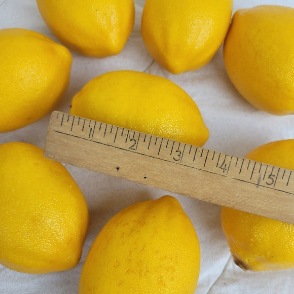 Lot Of 8 Faux Yellow Lemons Approximately 3 x 2 Each Home Decor Staging Color - Picture 4 of 7